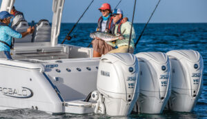 Yamaha outboard engine