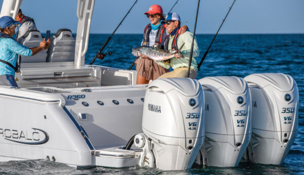 Yamaha outboard engine